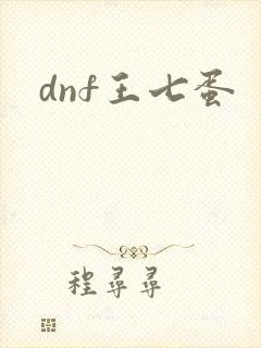 dnf王七蛋