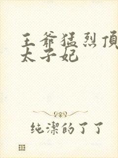 王爷猛烈顶弄H太子妃