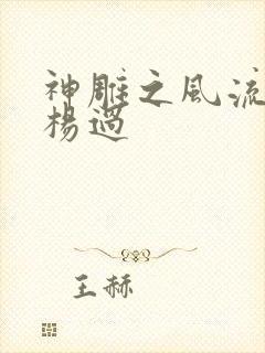 神雕之风流浪子杨过