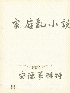 家庭乱小说