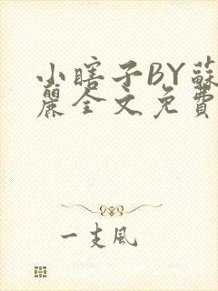 小瞎子BY苏玛丽全文免费笔趣阁