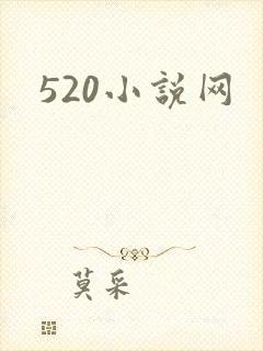 520小说网