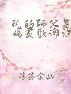 我的师父是王语嫣尽欢潮汐