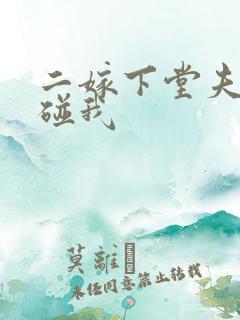 二嫁下堂夫君别碰我