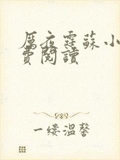 厉夜霆苏小汐免费阅读