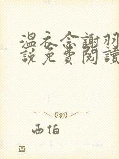 温衣念谢羽渊小说免费阅读