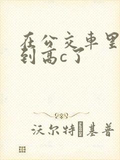 在公交车里c弄到高c了