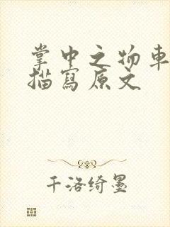 掌中之物车里震描写原文