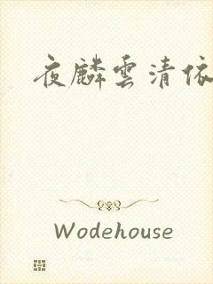 夜麟云清依小说