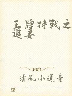 王牌特战之军少追妻