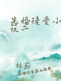 先婚后爱小说梦筱二