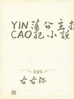 YIN荡公主挨CAO记小说