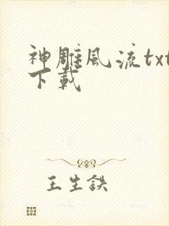 神雕风流txt下载