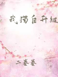 我独自升级小说