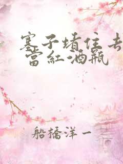 塞子堵住去上学 当红酒瓶