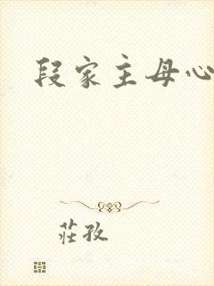 段家主母心太狠