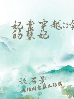 妃常穿越:冷王的孽妃