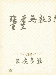 强者无敌3烈火重生