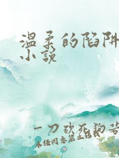 温柔的陷阱周芸小说