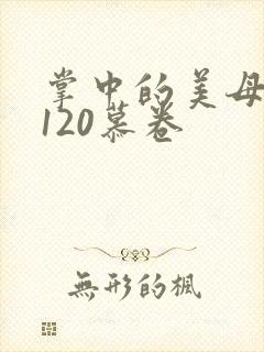 掌中的美母版主120慕卷