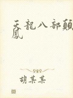天龙八部颠龙鸾凤