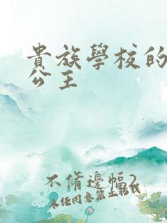 贵族学校的双面公主