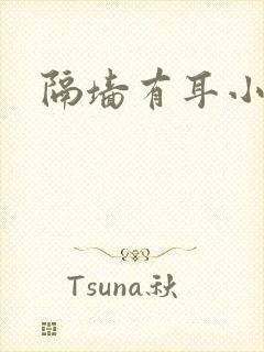 隔墙有耳小说
