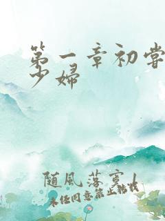 第一章初尝极品少妇