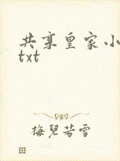 共享皇家小公主txt