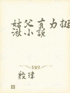 姑父有力挺送徐湫小说