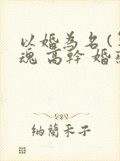 以婚为名 (军魂 高干 婚恋)