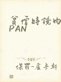 贫僧时镜肉补全PAN