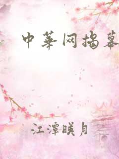 中华网揭幕内参