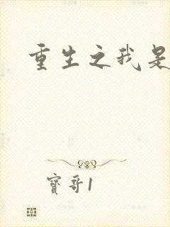 重生之我是刘备