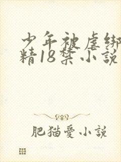 少年被虐绑着榨精18禁小说