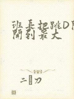 班长把跳D开关开到最大