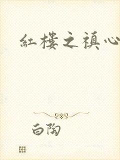 红楼之禛心锁玉