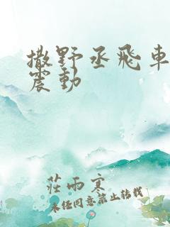 撒野丞飞车道具震动