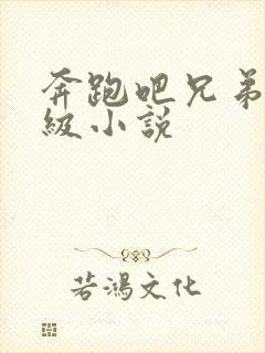 奔跑吧兄弟限制级小说