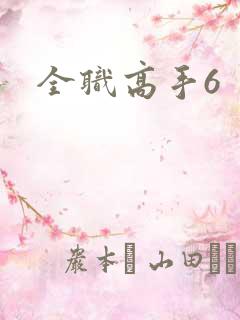 全职高手6