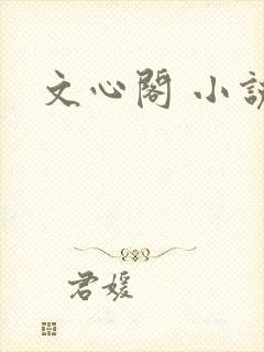 文心阁 小说