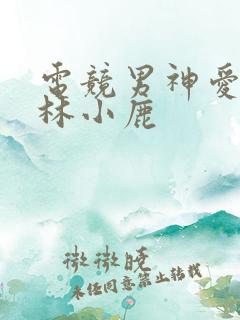 电竞男神爱上我林小鹿