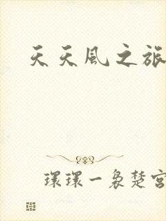 天天风之旅辅助