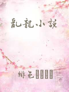 乱龙小说