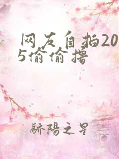 网友自拍2015偷偷撸