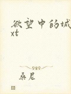 欲望中的城市txt