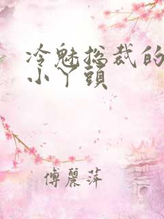 冷魅总裁的纯纯小丫头