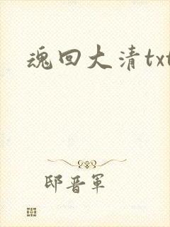 魂回大清txt