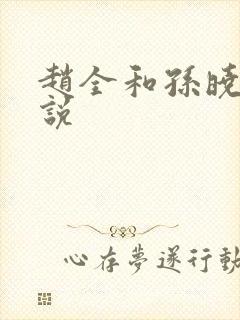 赵全和孙晓云小说