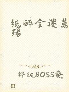 纸醉金迷万灭之殇